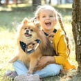 thumbnail image 5 of Leo Dog Accessories: Pack of Two Translucent Light and Breathable Chiffon Yarn Pet Collars - 40.6x40.6x58/16x16x22.8in, 53.3x53.3x76.2/20.9x20.9x30 in, 5 of 5