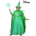 thumbnail image 2 of Plus Size Disney Sleeping Beauty Fauna Costume for Women, 2 of 11