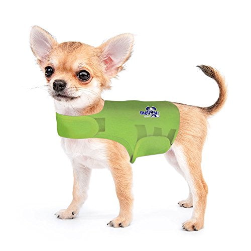 Dog Thunder Shirt