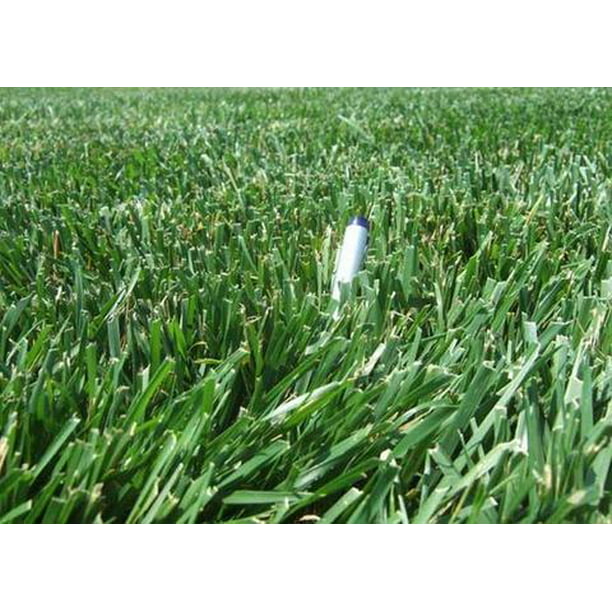 Rendition Turf Type Tall Fescue Grass Seeds 50 Lbs