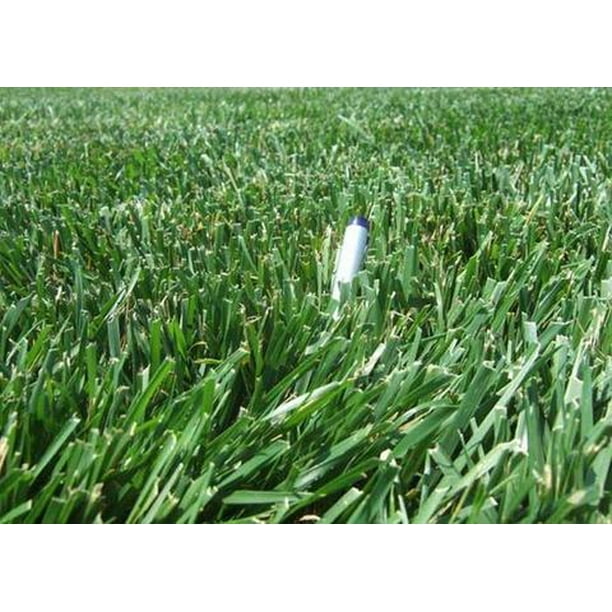 Rendition Turf Type Tall Fescue Grass Seeds 50 Lbs