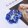 thumbnail image 2 of Sequins Hair Rope Exquisite Hair Bands Ties Ponytail Holders for Kids Women Girls (Blue), 2 of 4