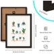 thumbnail image 2 of Cuadro de pared enmarcado con plantas en maceta, impresiones de papel, póster de arte de pared con plantas en maceta colgantes, decoración de pared con marco negro, 2 of 8