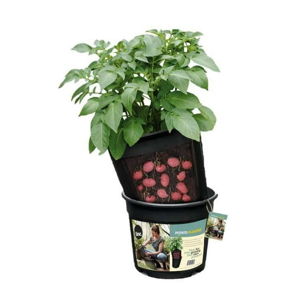 Potato Planter Pot (1 CT), Makes growing and harvesting easier