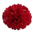thumbnail image 2 of 10-Pack Fluffy Tissue Paper Pom Poms, Decorative Flowers for Wedding, Party, and Nursery Room Decor, 2 of 4