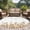 White Dark Yellow, variant on Round Area Rug 3 Ft, Spring Emerald Green Eucalyptus Washable Non-Slip Circle Carpet for Living Room/Bedroom, Botanical Leaf Country Low-Profile Small Floor Mats Collection Rugs for Indoor