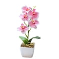thumbnail image 3 of Fleur Simulée Phalaenopsis à 5 Têtes Plante Artificielle en Pot Simulée, 3 of 6