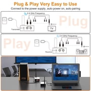 1Mii RT5066 Wireless Audio Transmitter Receiver for Music, 24GHz, 2 Channel Stereo Receiver