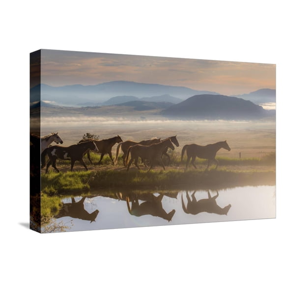 Art.com 241 Stretched Canvas Print Wall Art by Dan Ballard, 18" x 12"