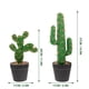 thumbnail image 4 of 2 piezas de cactus en maceta de plástico para decoración de escritorio, pequeñas figuras de cactus en maceta, decoración suculenta, 4 of 8