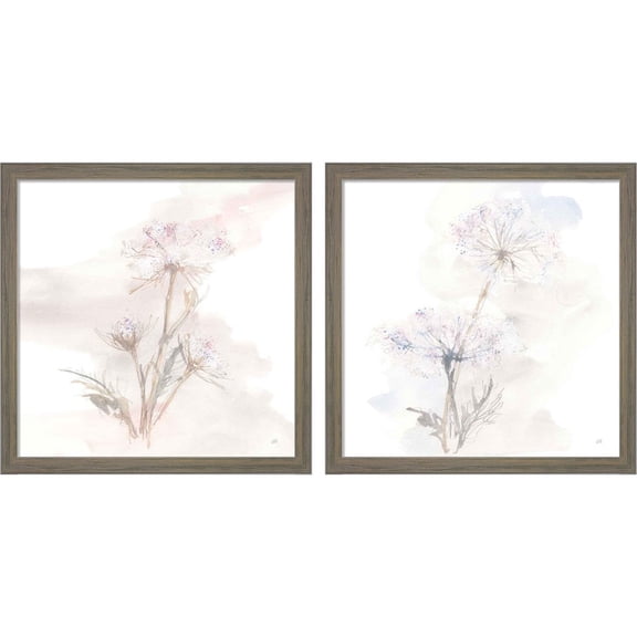 Great Art Now Queen Annes Lace A by Chris Paschke, 2 Piece Framed Art Set Each 13"W x 13"H