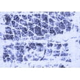 thumbnail image 1 of Ahgly Company Machine Washable Indoor Rectangle Abstract Blue Modern Area Rugs, 7' x 10', 1 of 4