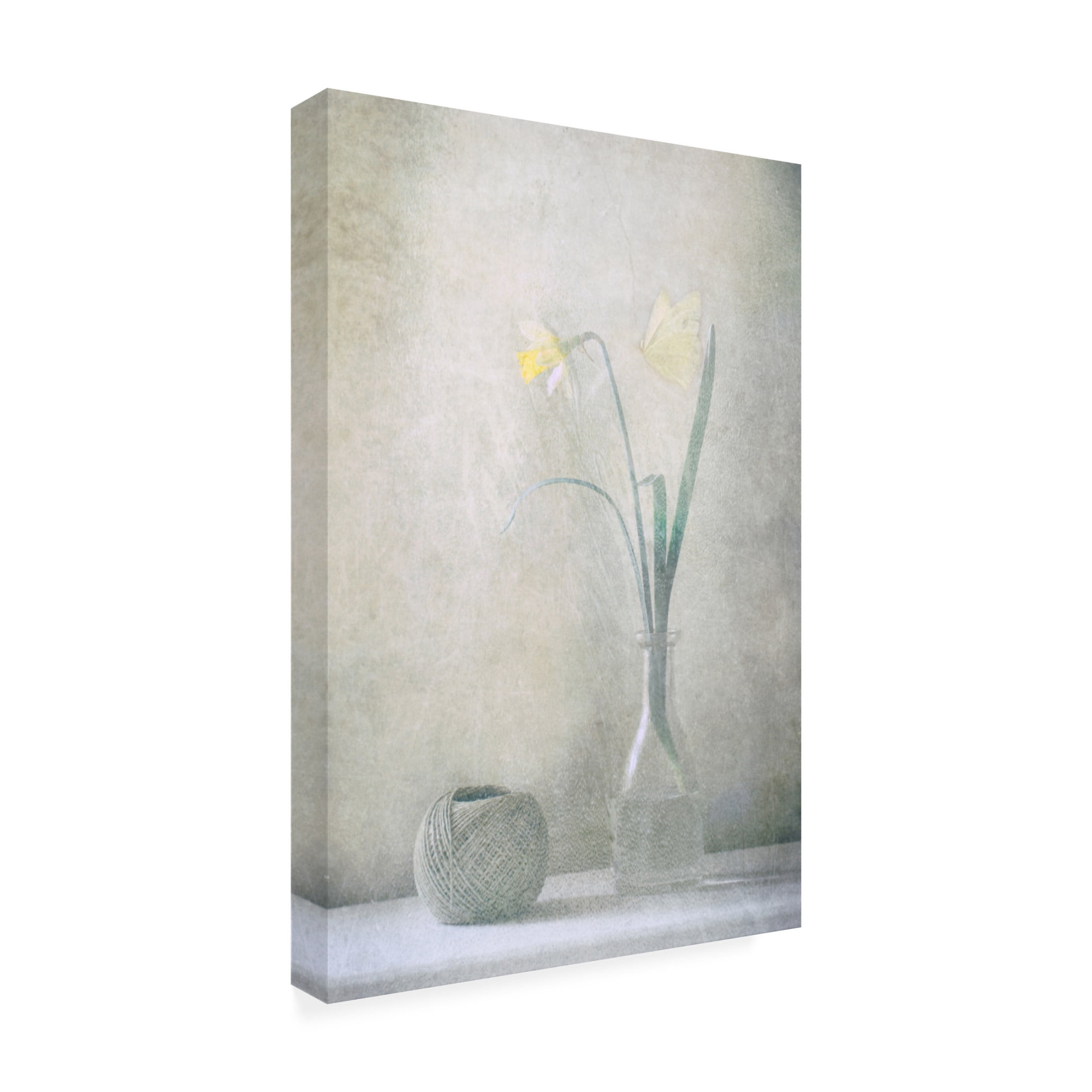 Canvas Wall Art - Delphine Devos 'Spring At Home' Wall Art for Living Room, Bedroom, or Office Décor by Trademark Fine Art - 22 x 32 Inches