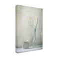 thumbnail image 2 of Canvas Wall Art - Delphine Devos 'Spring At Home' Wall Art for Living Room, Bedroom, or Office Décor by Trademark Fine Art - 12 x 19 Inches, 2 of 4