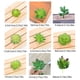 thumbnail image 5 of 10 Piezas de suculentas falsas Advancent Flores artificiales tipo 15 PVC, 5 of 6