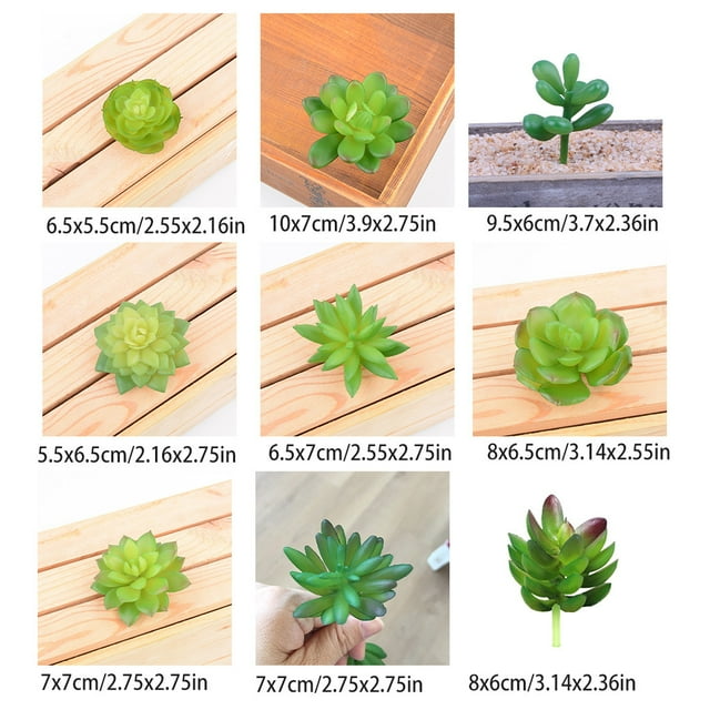 10x Fake Succulents Small Vivid Useful Simulated Plants Multi-functional Lifelike Photo Props for Household Yards Lawn Flowerpot Type 3