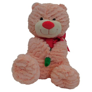 13 PJ Pal Bear in Stuffed Animals & Plushies