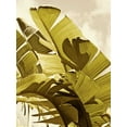 thumbnail image 2 of Perry, Rachel 19x24 Black Ornate Wood Framed with Double Matting Museum Art Print Titled - Palm Fronds I, 2 of 4