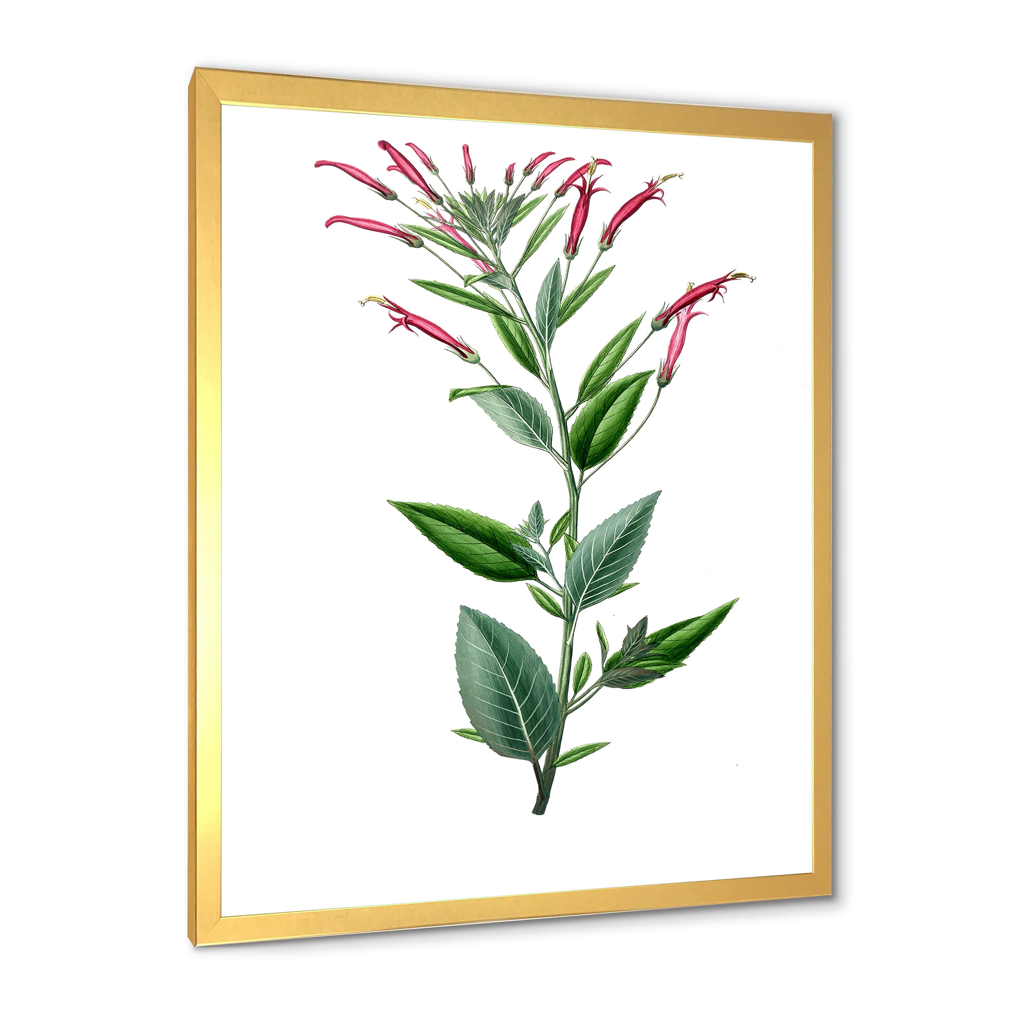 Designart 'Ancient American Flora III' Traditional Framed Art Print