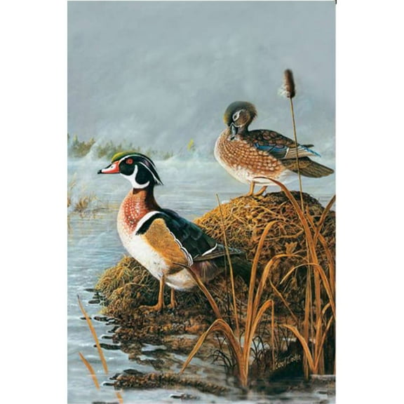 Premier Illuminated Garden Flag -  Steamy Wood Ducks
