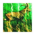 thumbnail image 3 of Mountain Goat Majesty - Canvas, 3 of 25
