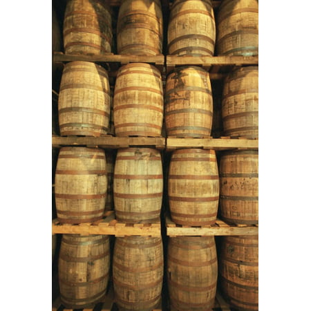 Empty Whiskey Casks in Storage Print Wall Art By Macduff