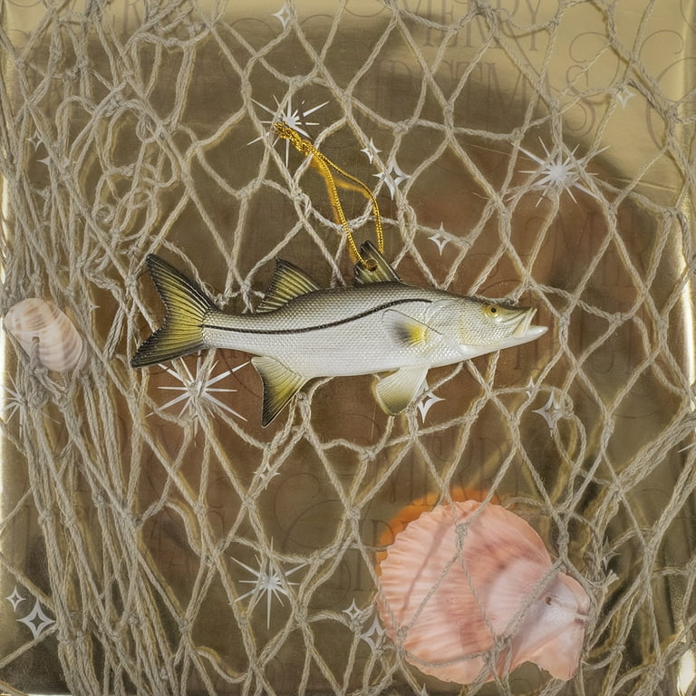 5 5
