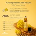 thumbnail image 4 of Aceite Esencial MenstrEaze Helichrysum Ricino 10ml Roll-On, 4 of 9