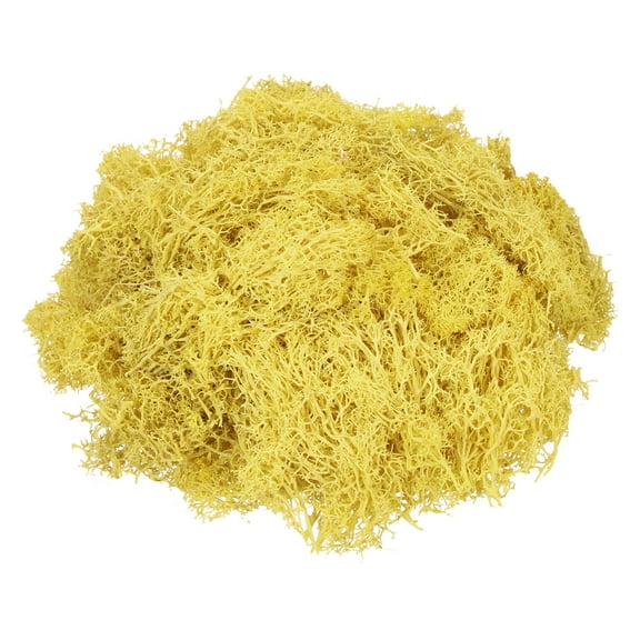 Uxcell 3oz Preserved Reindeer Moss Yellow Decorative Artificial Fake Moss