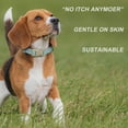 thumbnail image 4 of Plutus Pet Cotton Hemp Dog Collar and Leash Set, Adjustable Collar for Small, Medium, and Large Dogs, Heavy Duty and Soft on Skin, Light Blue, S, 4 of 7