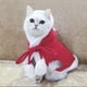 thumbnail image 2 of Capa con capucha para perro y gato, ropa navideña para invierno, adorable y cálida, disfraz para mascota (rojo, talla S/M), 2 of 7
