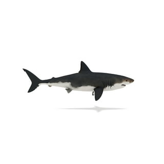 Laminated Sharks Floating in Clouds Fin Fantasy Shark Posters for Walls  Shark Pictures Cool Great White Shark Picture Great White Shark Art Great