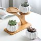 thumbnail image 5 of Estante para Plantas Suculentas | Estante de Mesa de Varios Niveles para Interior, Ideal para Macetas, Organizador de Plantas Pequeñas, Ahorra Espacio y Es Ideal para Oficina, Sala de Estar y Balcón., 5 of 6