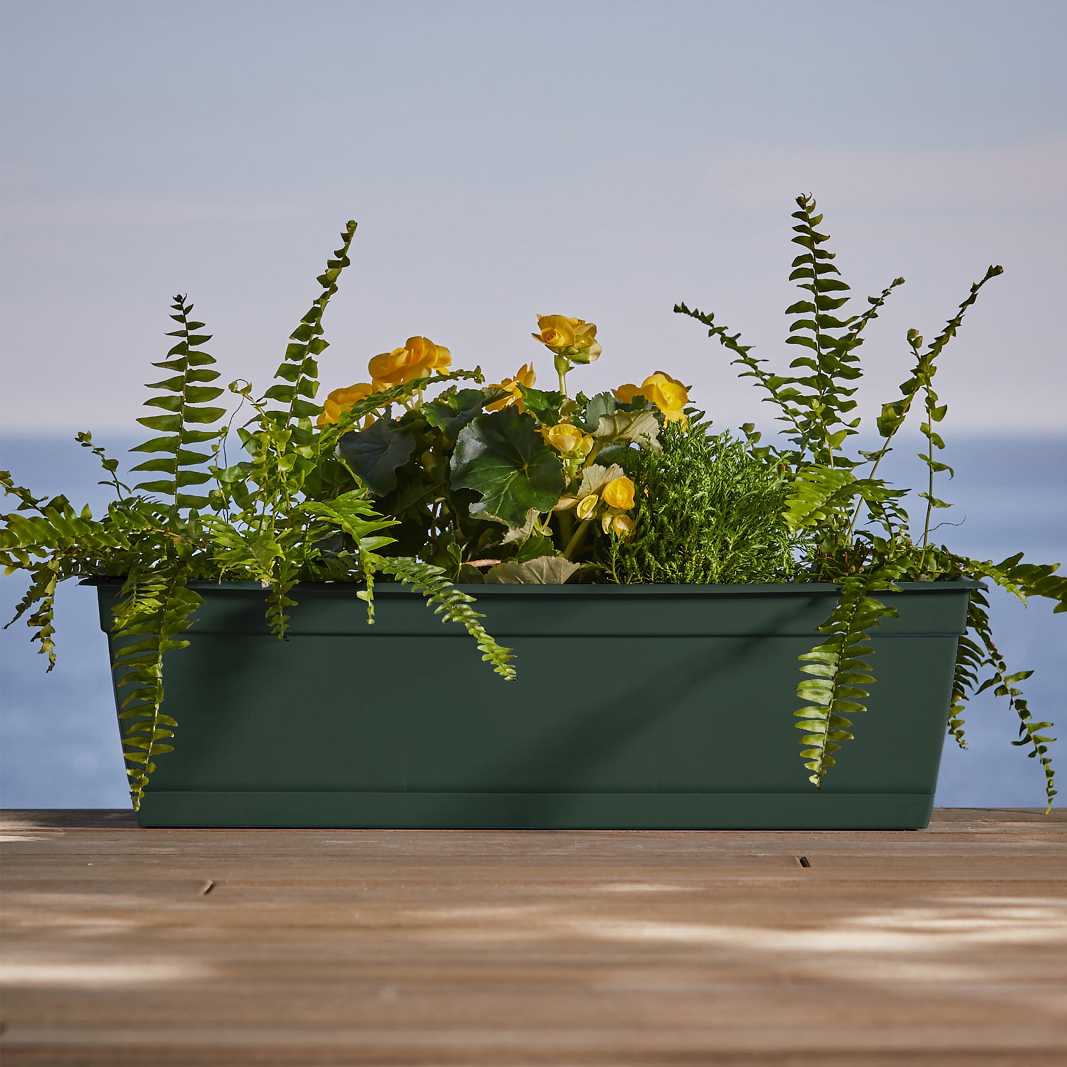 Bloem Dayton 24" Plastic Window Box Planter with Saucer Tray: 100% Recycled Plastic, for Window Sill & Ledge, Turtle Green