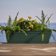 thumbnail image 6 of Bloem Dayton 24" Turtle Green Recycled Plastic Rectangle Window Box Planter with Saucer Tray for Indoor and Outdoor Gardening, 6 of 6