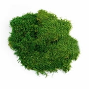 ProFlora Green True Moss Sheet, 2oz Floral Arranging Supplies