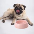 thumbnail image 5 of 2PCS Candy Color Pet Bowl Plastic Dog Bowl Cat Bowl Round, 5 of 5