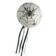 thumbnail image 2 of Wosthever Linterna de papel de calabaza plegable 3D, decoraciones de Halloween, Festival de fantasmas, atmósfera, murciélago, araña, farol de papel, Type5 NO5 Wosthever JJ25685-03, 2 of 6