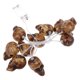 thumbnail image 4 of GOOHOCHY 1set Skull Modeling String Light Strap Strap Light Party Light Light, 4 of 7
