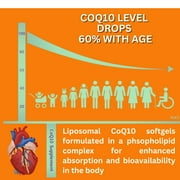 Nikoni Liposomal CoQ10 400 mg Co-Enzyme Q10 Supports Cellular Energy 240 Softgels