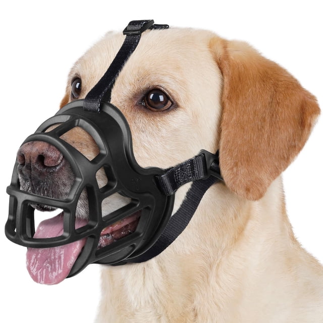 Bozal Barkless Antiladridos para Perros Pequeños