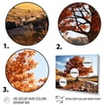 thumbnail image 3 of Designart "Vibrant Orchard Orange Spot Color II" Floral Wall Art Print, 3 of 5