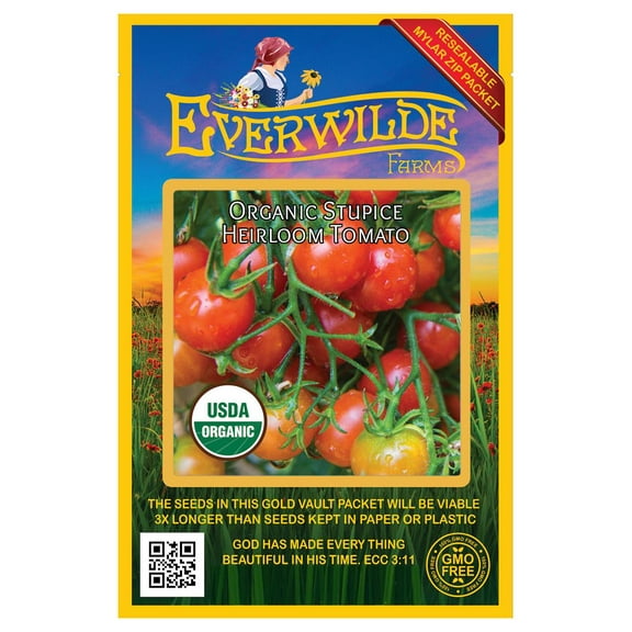Everwilde Farms - 25 Organic Stupice Heirloom Tomato Seeds - Gold Vault Jumbo Bulk Seed Packet