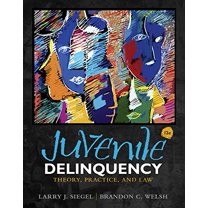 Pre-Owned Juvenile Delinquency: Theory, Practice, and Law (Hardcover) 1285458400 9781285458403
