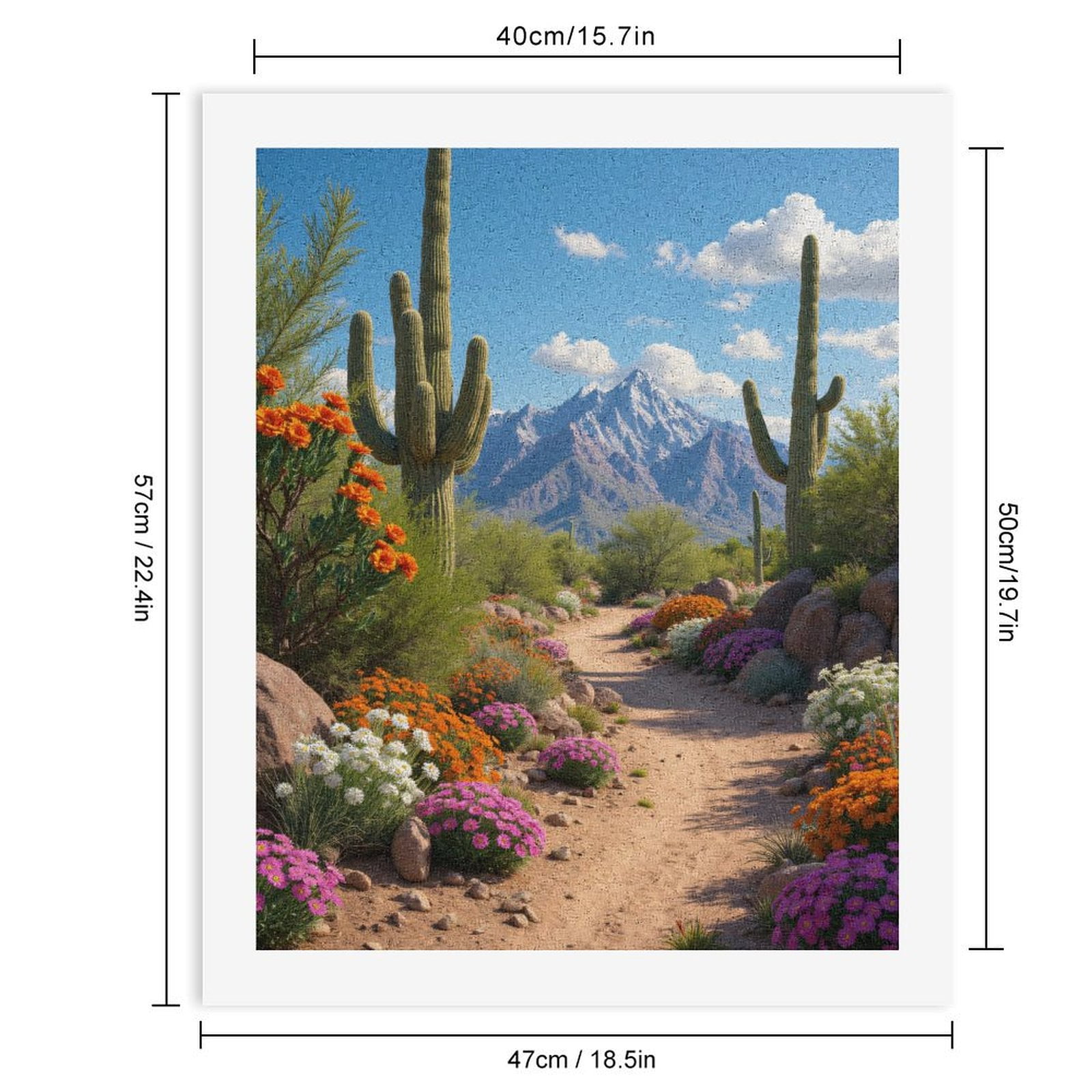 Paint By Numbers Kit for Adults Beginner - Desert Path Blooming Cactus Scene DIY Canvas Painting Kits for Adults, Frameless Paint By Number for Adults for Home Wall Decor 16x20 Inch
