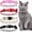 Gold, Red, Pink, Black, variant on Mumup 4 Pieces Rhinestones Cat Collars Breakaway Cat Collar with Bell Bling Pet Accessories with Soft Velvet