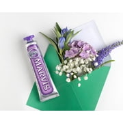 Marvis Jasmin Mint Toothpaste, 3.8 Oz
