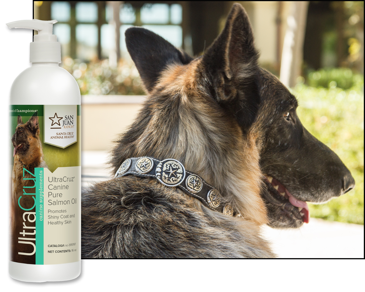 UltraCruz® Canine Pure Salmon Oil, 16 oz