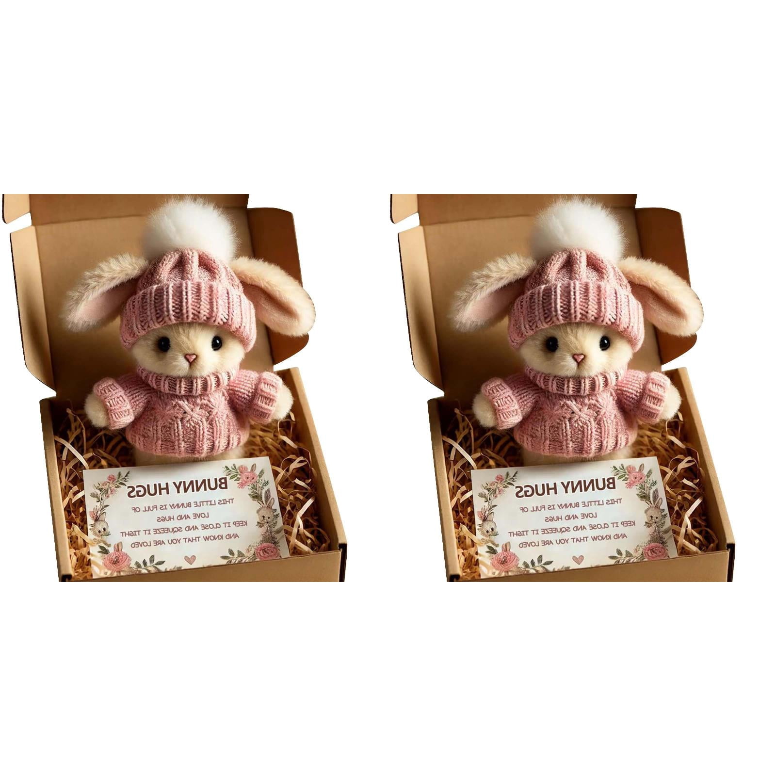 Mini Bunny Hug Cute Easter Gift Plush 2026 Bunny in a Box Hugs Positive Bunny Stuffed Animal Rabbit Soft Floppy Easter Ideas Bunnies Basket Stuffers Doll Emotional Support Inspirational Gifts