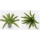 thumbnail image 3 of Kearding Planta artificial respetuosa del medio ambiente plástica del mantenimiento bajo en plantas artificiales modernas de las flores Decoración helecho de 18 cabezas, 3 of 6
